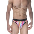 Renkli Erkek  Tanga Çamaşır