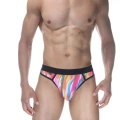 Renkli Erkek  Tanga Çamaşır