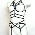 Seksi Jartiyer Harness Takım - Brf347