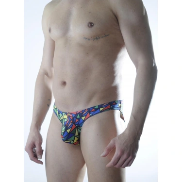 Erkek Renkli Desenli Slip İç Çamaşırı