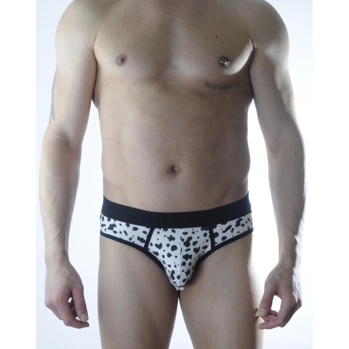 Erkek Desenli Slip Dm301119