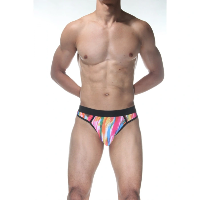 Renkli Erkek  Tanga Çamaşır