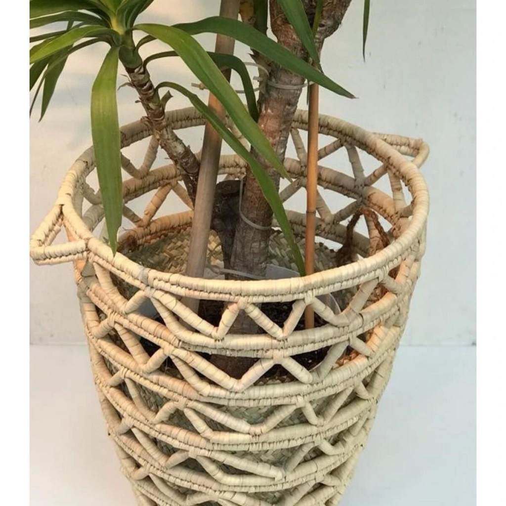 Camellia Hasır Hasır Saksı / Sepet 50 X 60