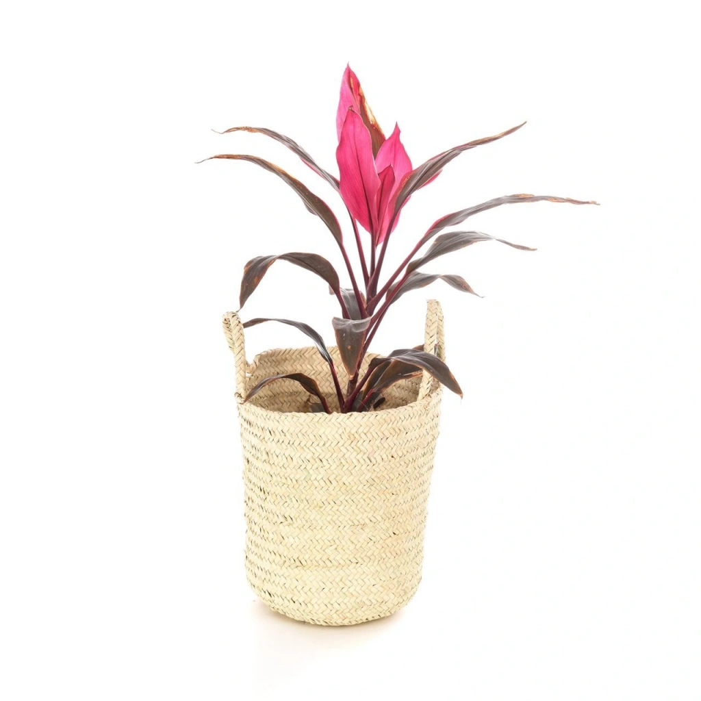 Chicory Hasır Sepet