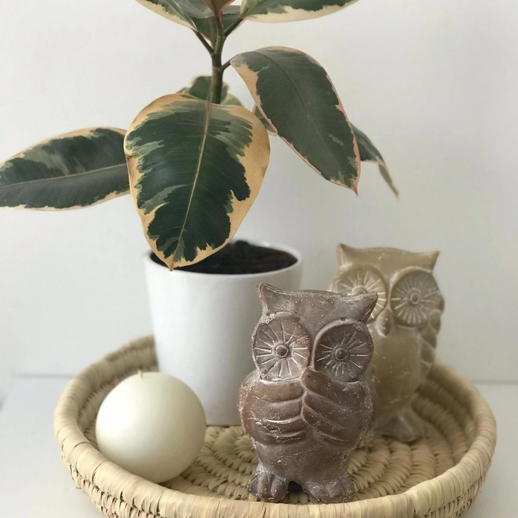 SYRINGA HASIR TEPSİ ORTA BOY