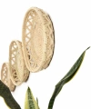 Salvia Hasır Duvar Tabağı Seti_ 3 lü Duvar set (20-25-30 cm)