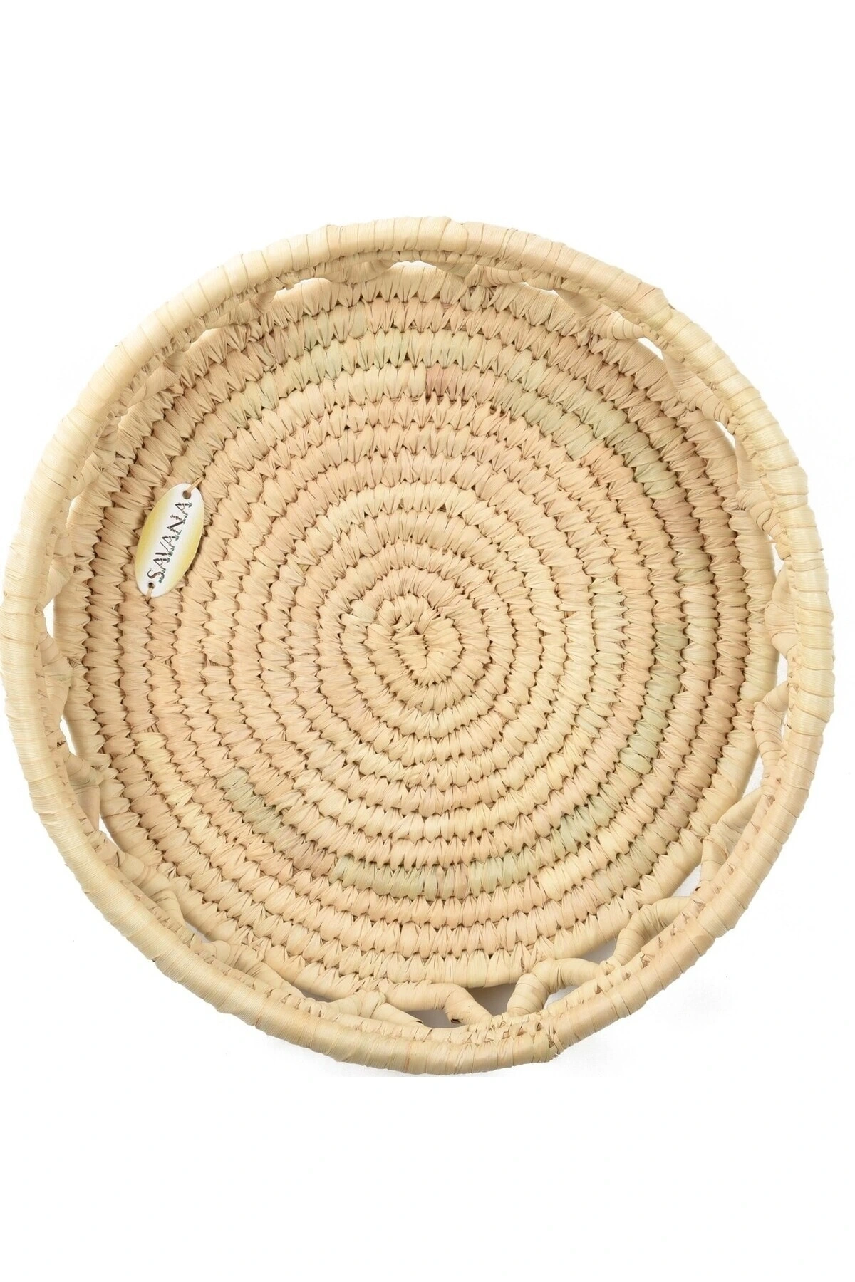 Salvia HASIR DUVAR TABAĞI _ 40 cm