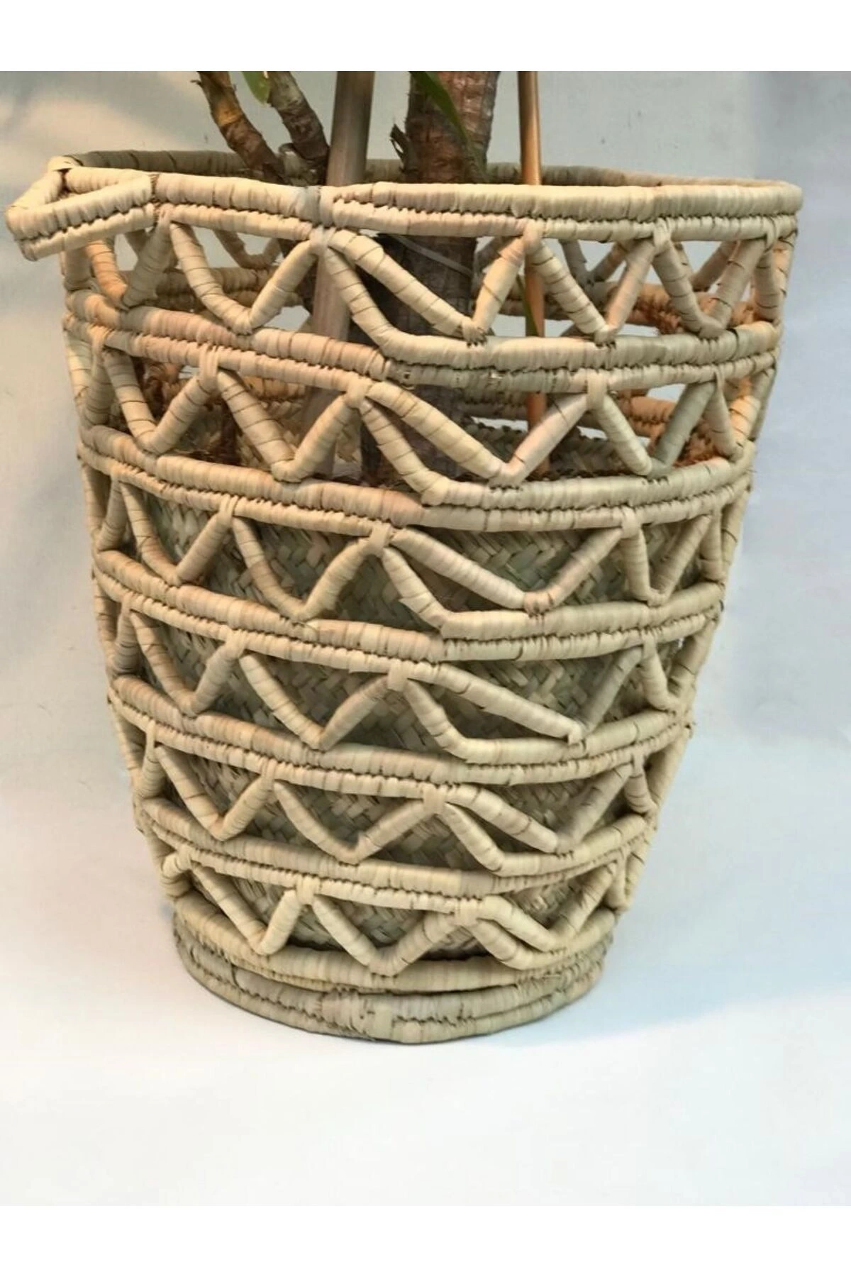 Camellia Hasır Hasır Saksı / Sepet 50 X 60