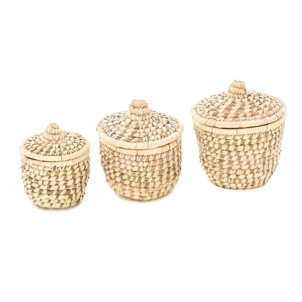 BLUEBELL HASIR KUTU SETİ