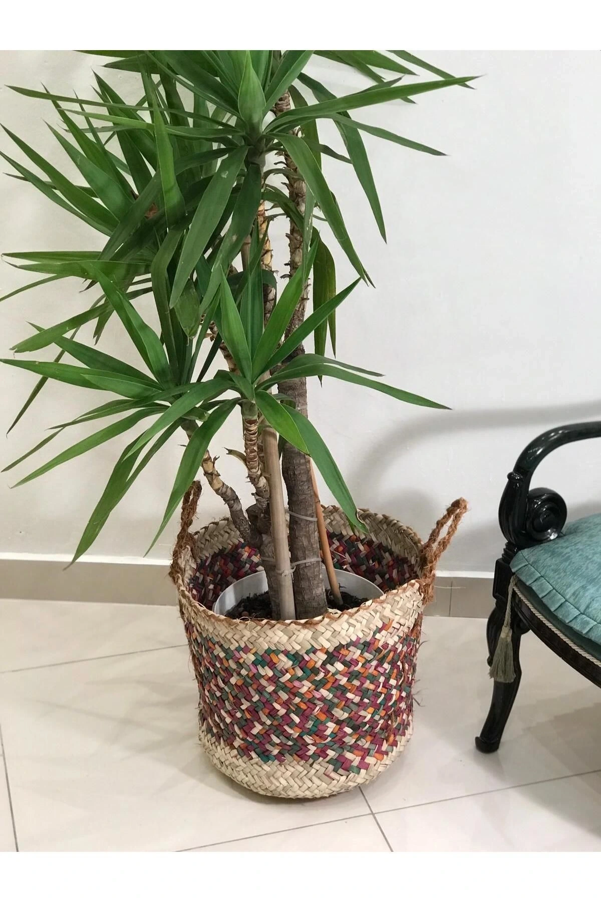 Chicory Doğal Hasır Saksı_ renkli - 44 x 44 cm