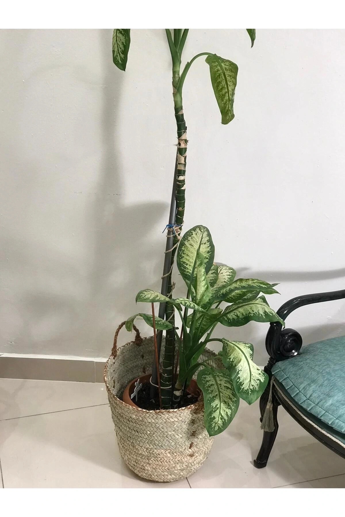 Chicory Doğal Hasır Saksı_sade_ 30 X 44 cm