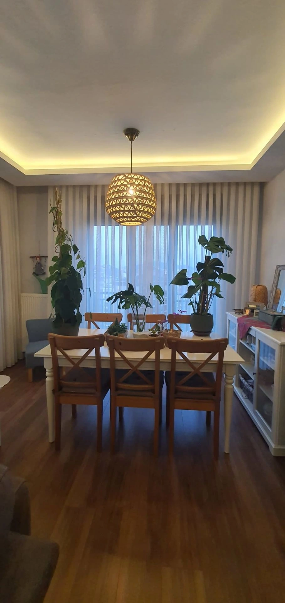 Cissus Hasır Tavan Aydınlatma