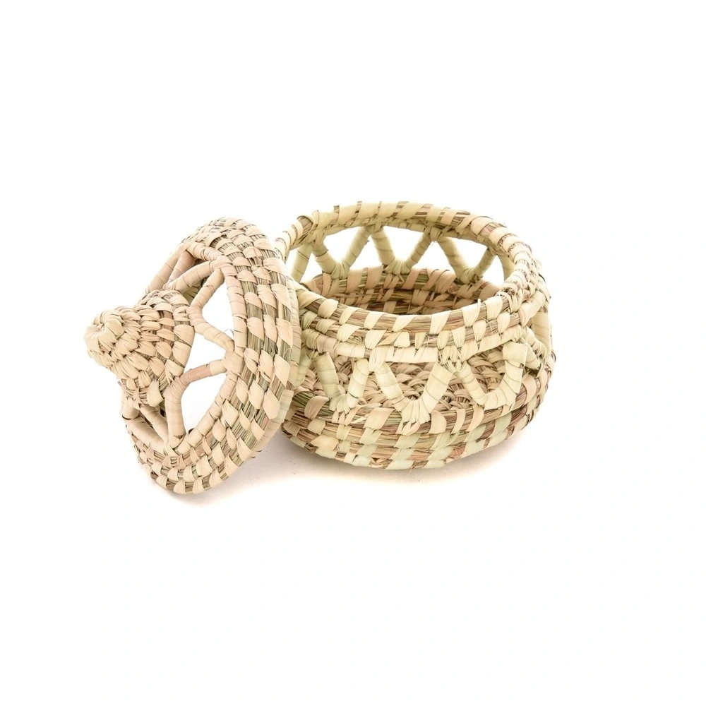 COSMOS HASIR KUTU KÜÇÜK