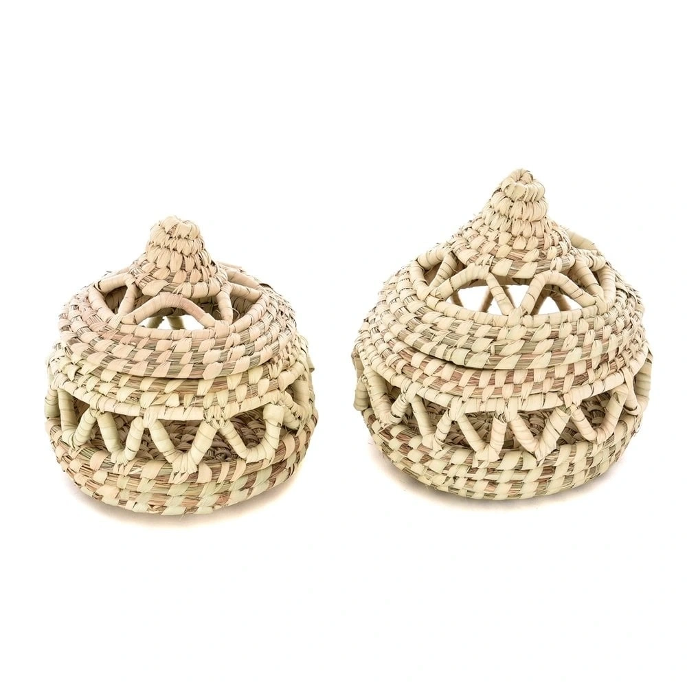 COSMOS HASIR KUTU KÜÇÜK