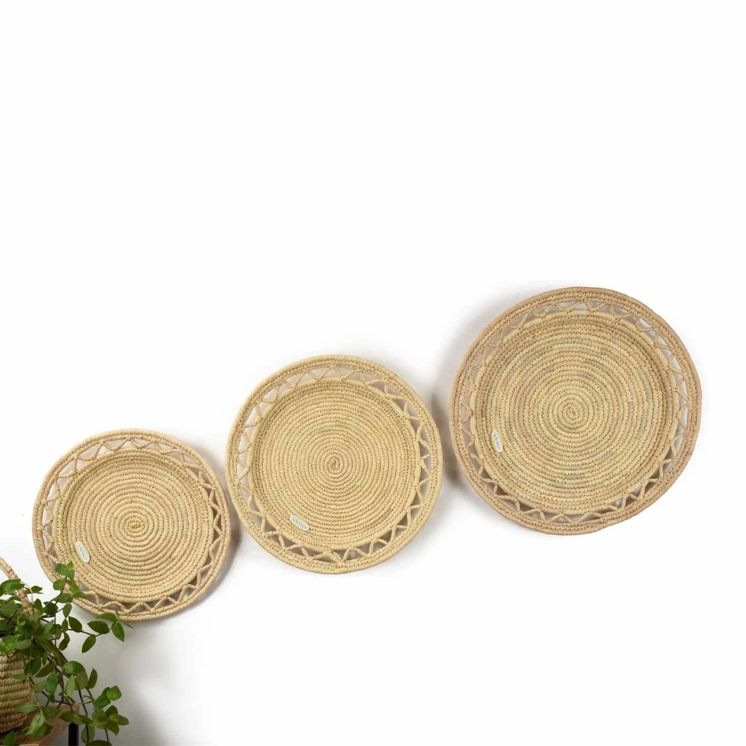 Cydonia Hasır Duvar Tabağı Orta Boy