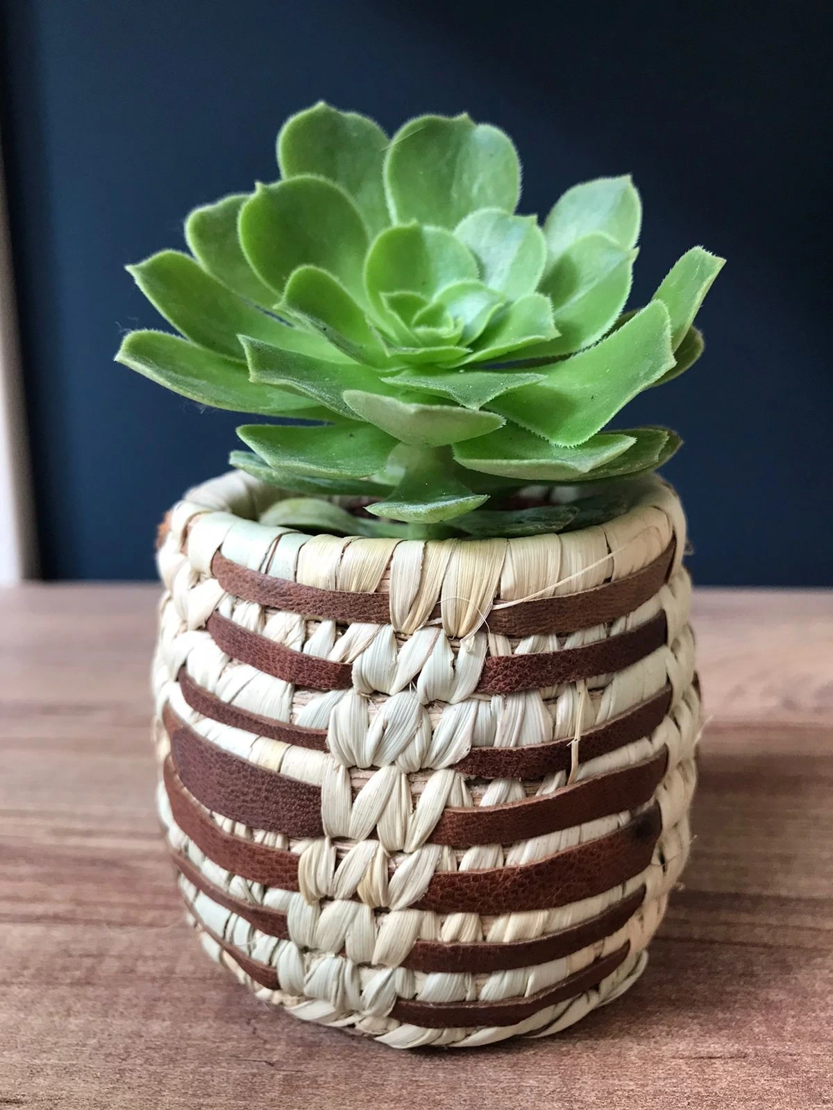 Ekon Hasır Saksi Sepeti