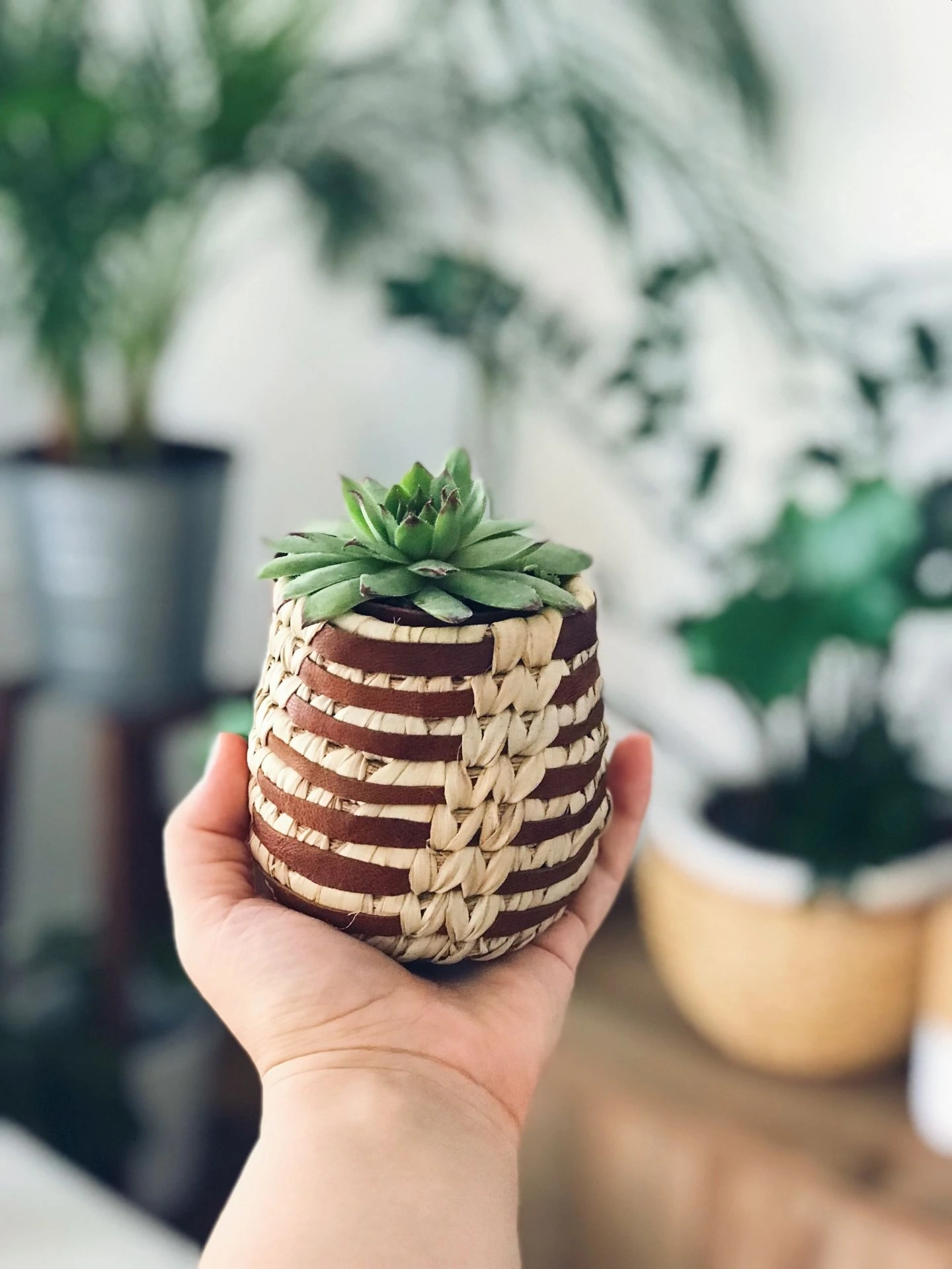 Ekon Hasır Saksi Sepeti