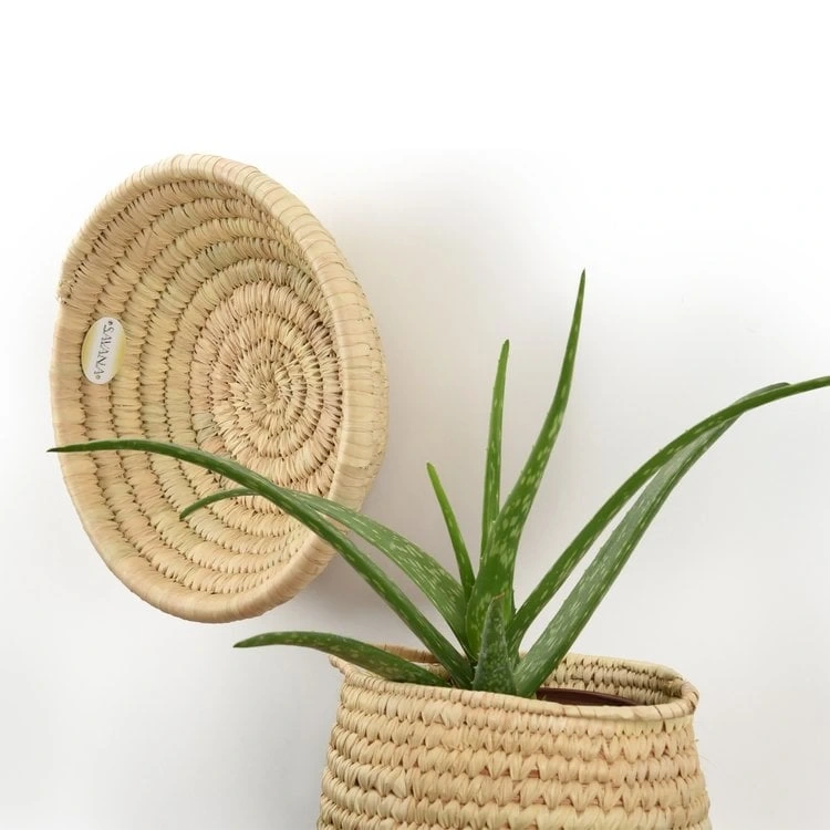 Festuca Hasır Duvar Tabağı Büyük Boy