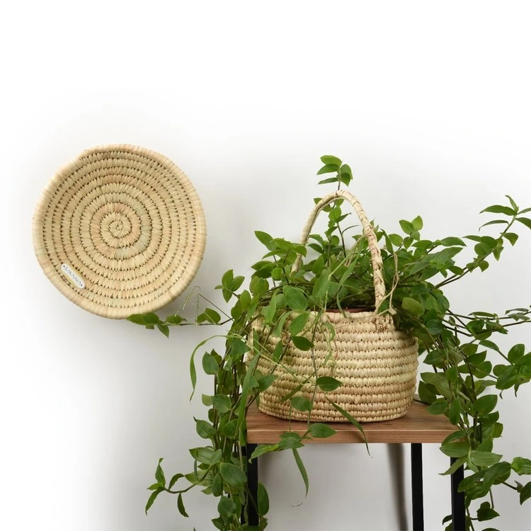 Festuca Hasır Duvar Tabağı Orta Boy