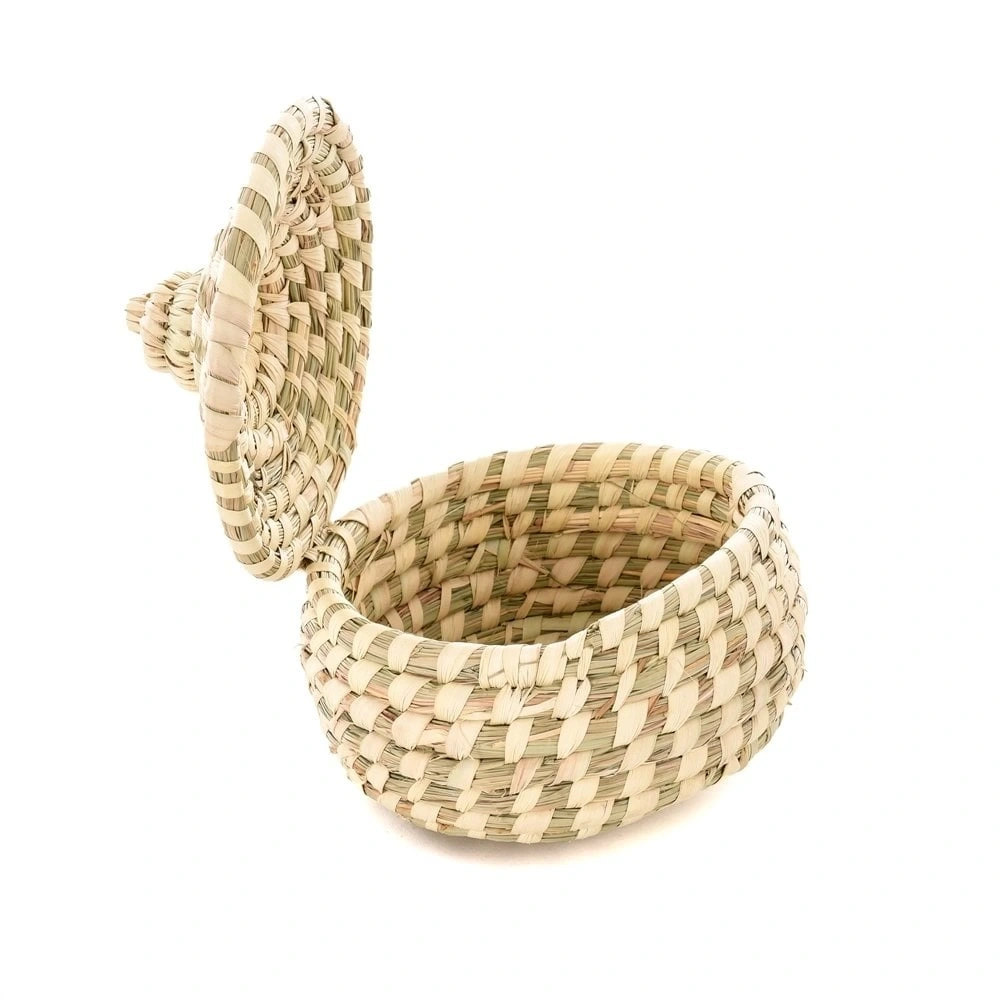 LANTANA HASIR KUTU KÜÇÜK BOY