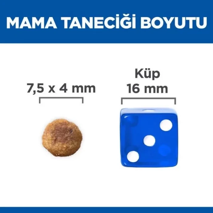 Hills Adult Small Küçük Irk Kuzulu Yetişkin Köpek Maması 5 Kg+1 Kg Hediyeli