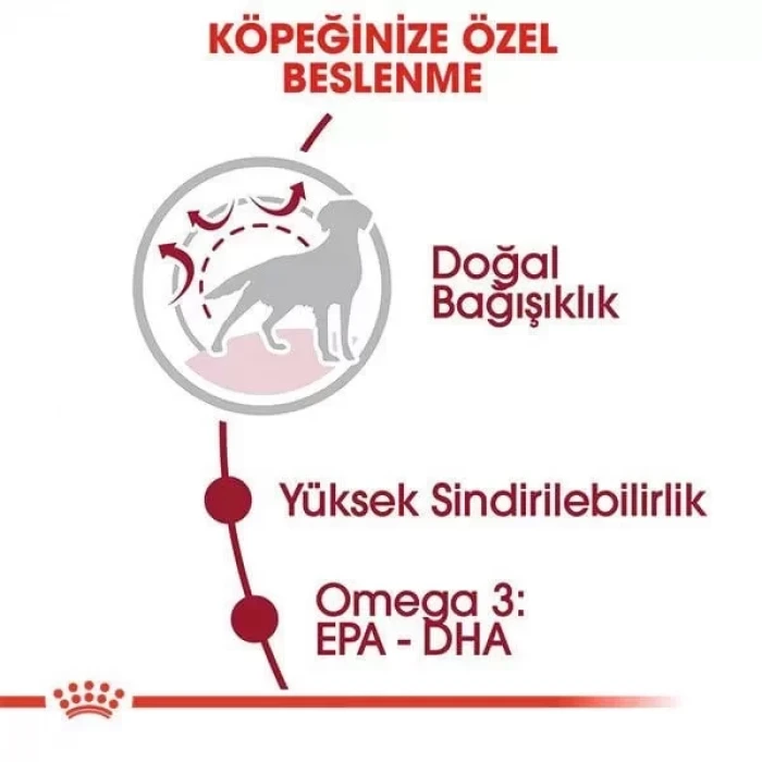 Royal Canin Medium Adult Yetişkin Köpek Maması 15 Kg