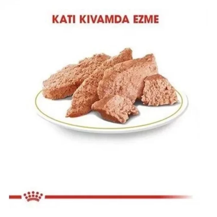Royal Canin Persian Adult İran Kedisi Pouch Konserve Kedi Maması 85 Gr
