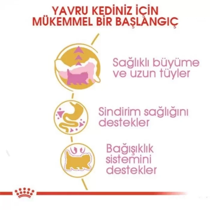 Royal Canin Persian Kitten Yavru İran Kedisi Maması 2 Kg