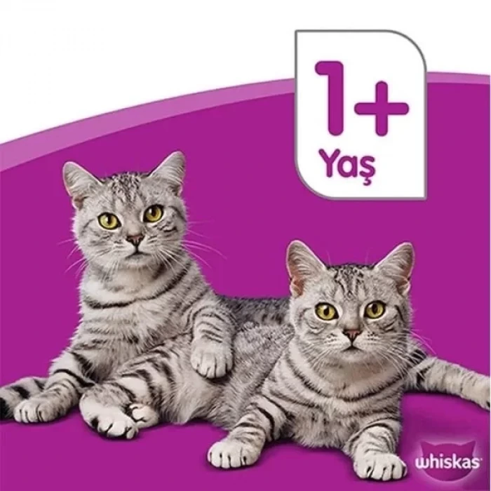 Whiskas Ton Balıklı ve Sebzeli Yetişkin Kedi Maması 300 Gr