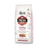 Brit Fresh Sığır Etli ve Balkabaklı Yavru Köpek Maması 12 Kg