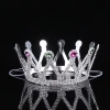 Gümüş Renk Çocuk Ve Yetişkin Uyumlu Kraliçe Tacı Prenses Tacı 8x25 Cm