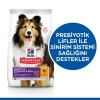 Hills Adult Sensitive Skin Hassas Köpekler İçin Tavuklu Yetişkin Köpek Maması 2.5 Kg