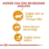 Royal Canin İntense Beauty Jelly Pouch Konserve Kedi Maması 85 Gr