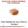 Royal Canin Poodle Adult Yetişkin Köpek Maması 3 Kg