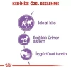 Royal Canin Sterilised Gravy Pouch Kısırlaştırılmış Kedi Maması 85 Gr