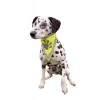 Trixie Köpek Bandanalı Tasma Xlarge 42-60 Cm