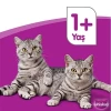 Whiskas Ton Balıklı ve Sebzeli Yetişkin Kedi Maması 300 Gr