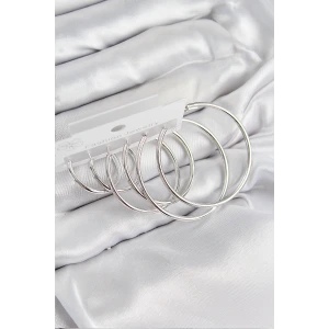 Pirinç Halka Model Gümüş Renk Kadın Set Küpe