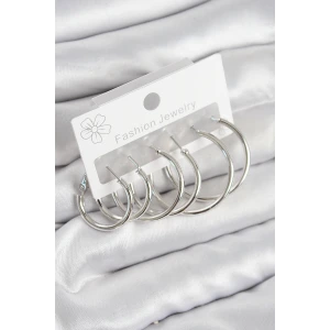 Pirinç Halka Model Gümüş Renk Kadın Set Küpe