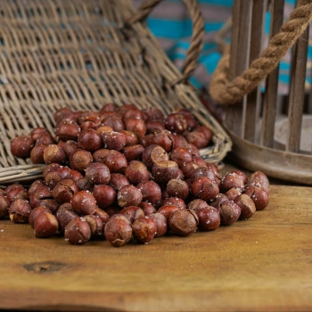 FINDIK TUZLU KABUKLU