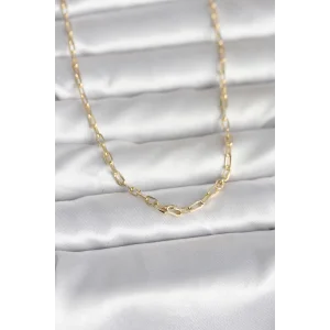 CM 14K Gold Renk Ataç Zincir Model 60 cm Kadın Kolye
