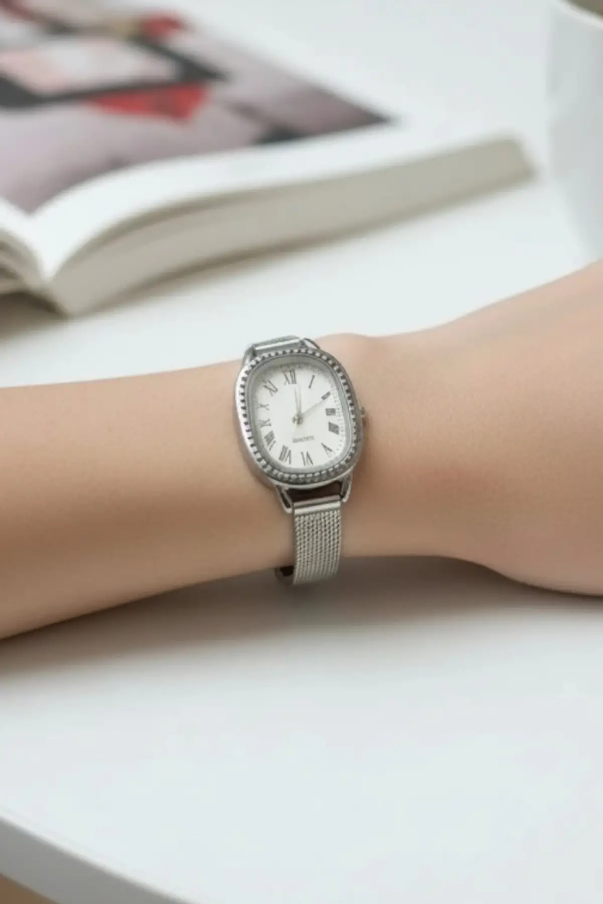 Delaware Silver Mesh Oval Minimal Womens Wristwatch