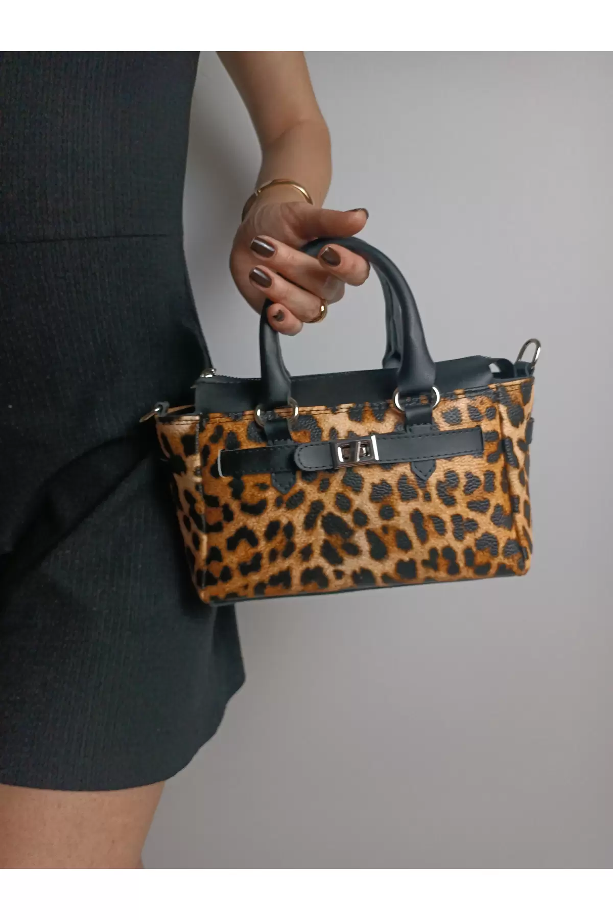 Harmony Leopard Skin Front Lock Detailed Mini Womens Handbag and Shoulder Bag