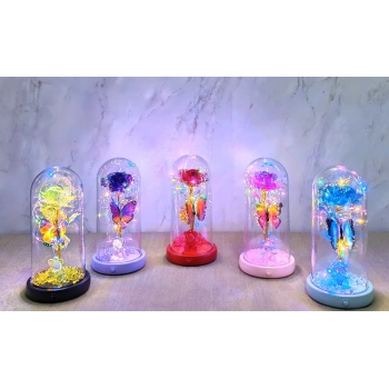 Işıklı Müzikli Romantik Kelebekli Fanus içinde Gül