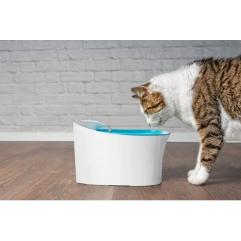 Otomatik Uyarılı Kedi Köpek Su Kabı