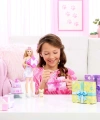 JFG68 Barbie Party Unboxed Köpeğimin Doğum Günü Serisi