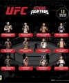 PMI/UFC2009