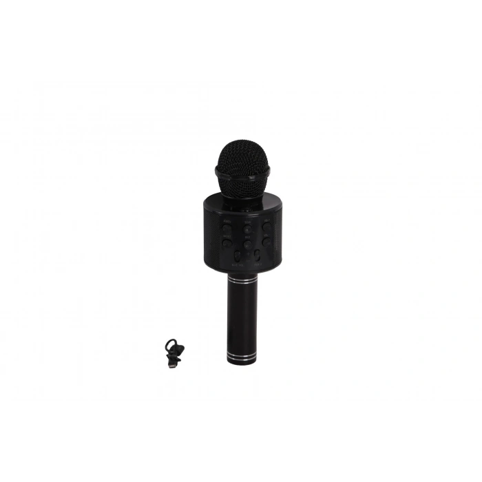 EMR-101 KUTULU KARAOKE MİKROFON