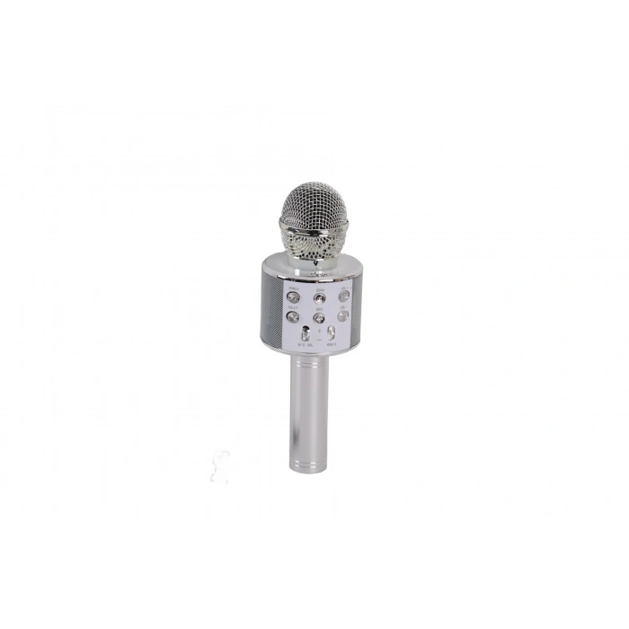 EMR-101 KUTULU KARAOKE MİKROFON