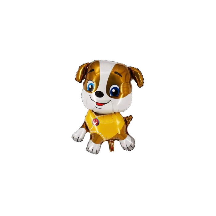 Folyo Balon 50li paketler paw patrol